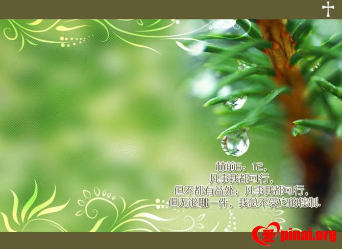 健康基督徒的十五个特征